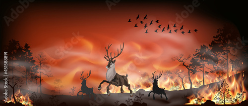 Vector forest fire, pine trees in fire flames. Nature concept illustration background. Wild animals and birds run away