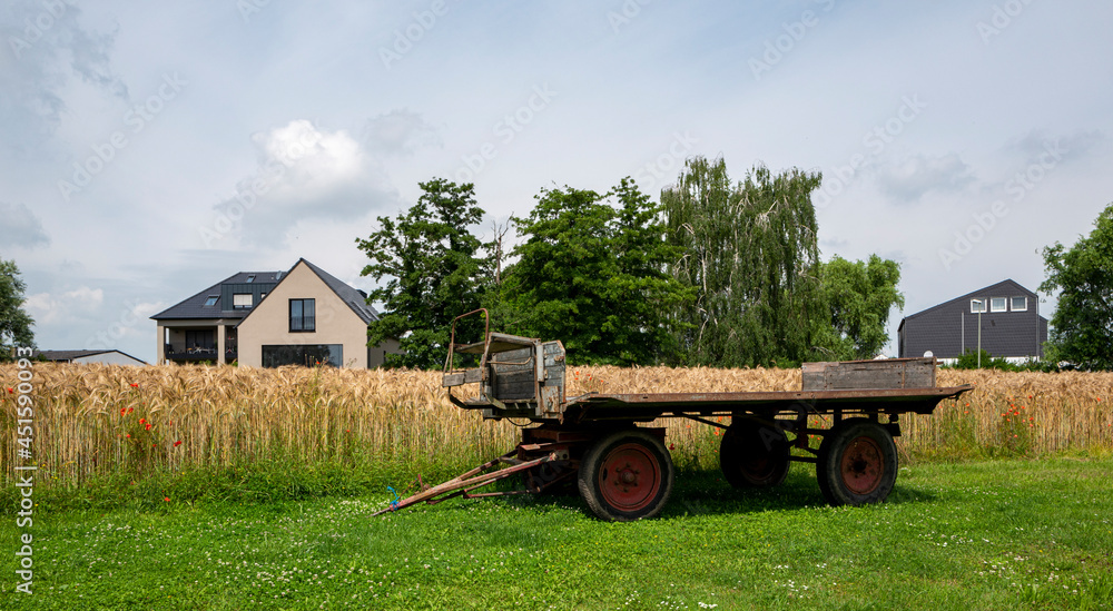 Fototapeta premium Kornfeld an einem Bauernhof