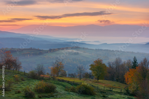 autumnal rural landscape. beautiful nature scenery with foggy valley and glowing sky at sunrise. trees in colorful foliage and fields on hills in morning light © Pellinni