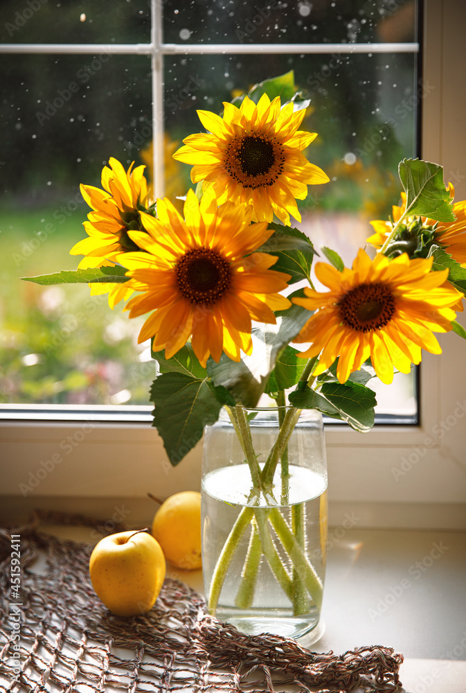 Bouquet sunflowers in glass vase at windowsill window. Still life of summer yellow flowers with apple and handbag. Sunny warm day.