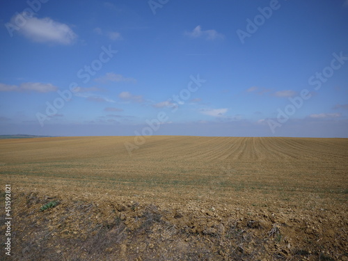 plowed field and sky