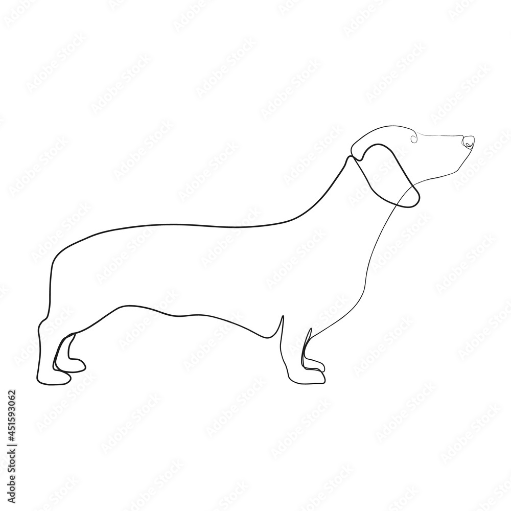 Continuous one line drawing with dachshund. Contemporary vector illustration on white background. Black line art on white background. Continuous one line drawing with dachshund. Contemporary vector illustration on white background. Black line art on white background.