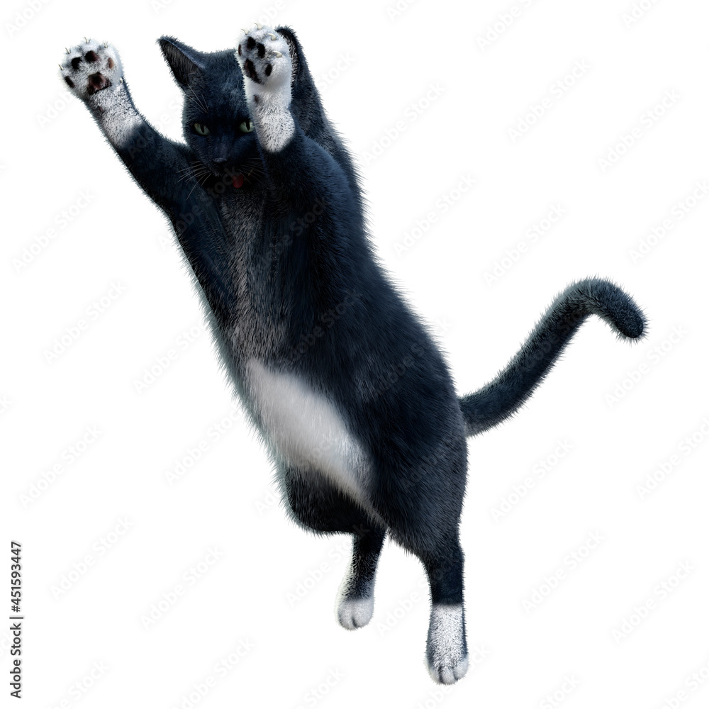 Obraz premium 3D Rendering Black Cat on White
