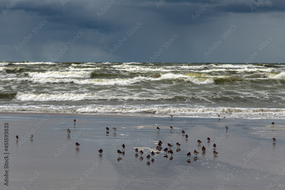 Gray and stormy Baltic sea in late summer. Gray and stormy Baltic sea in late summer.