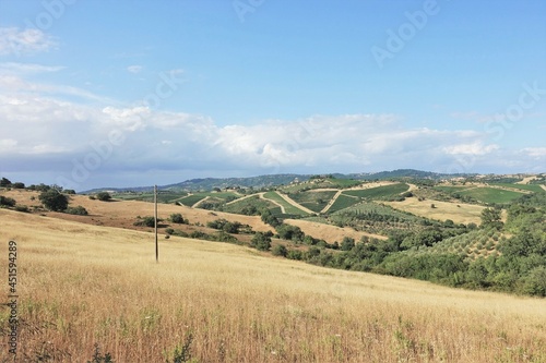 panoramic view of the landscape of the hills of the Tuscan Maremma
