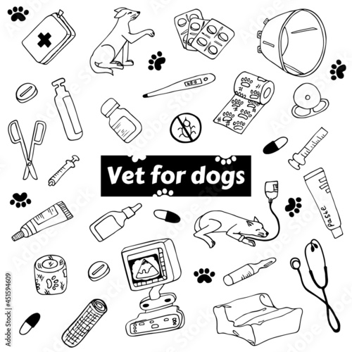 Vector set of items for the treatment of dogs. Isolated veterinary illustrations for cats in doodle style