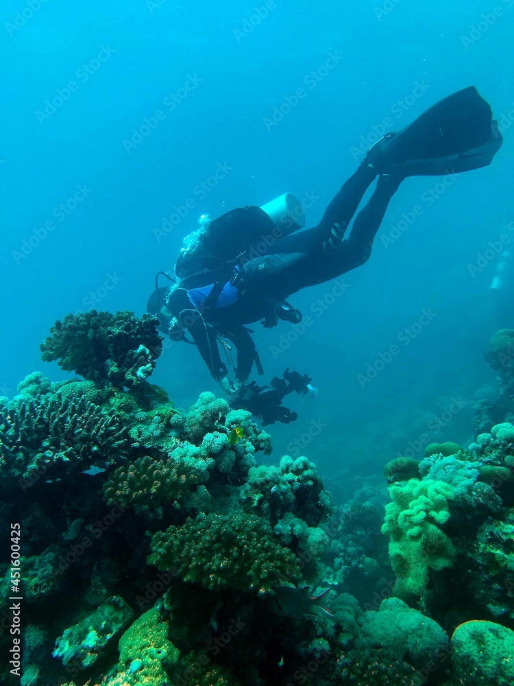 Fototapeta premium scuba diver in the reef