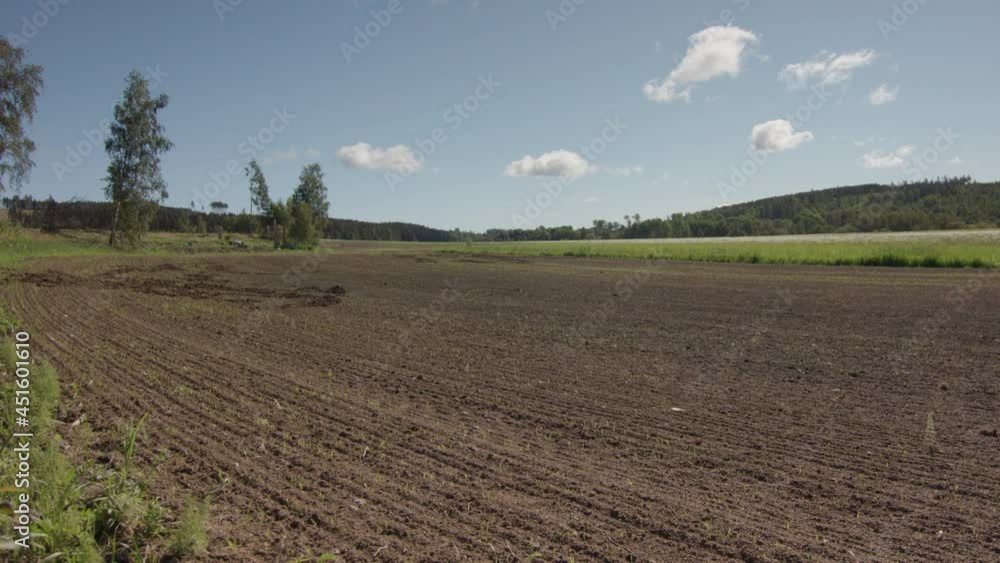 2 MONTH TIMELAPSE ZOOM IN of crops growing from ploughed field, sunny day 2 MONTH TIMELAPSE ZOOM IN of crops growing from ploughed field, sunny day