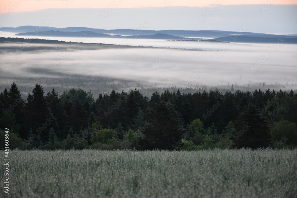 Fototapeta premium Fog over the Appalachians on a chilly July morning, Sainte-Apolline, Québec, Canada