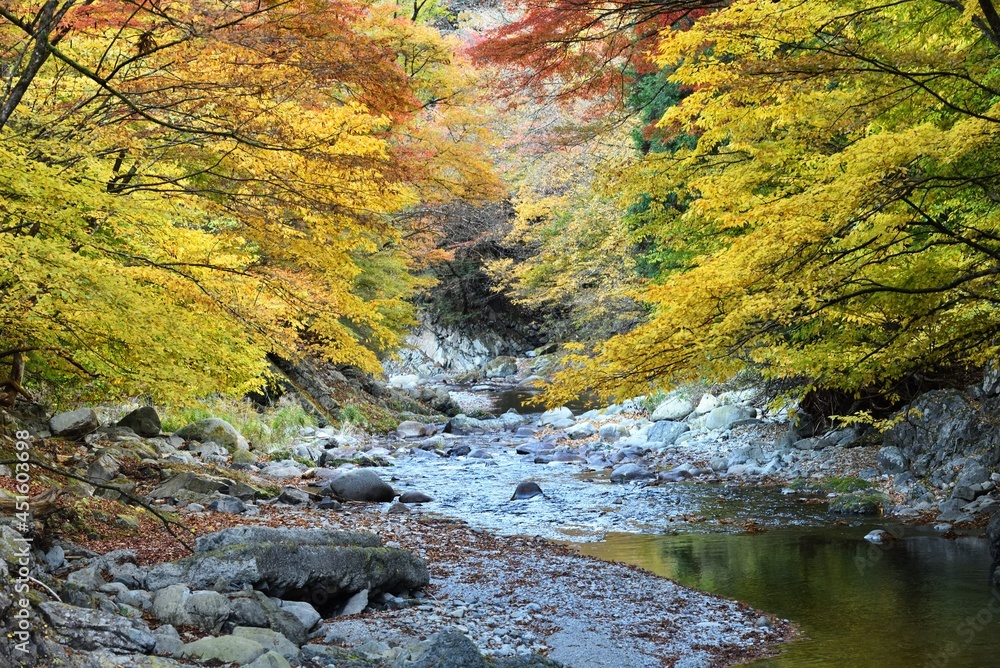 Oashi valley, Kanuma, Tochigi, in autumn Oashi valley, Kanuma, Tochigi, in autumn