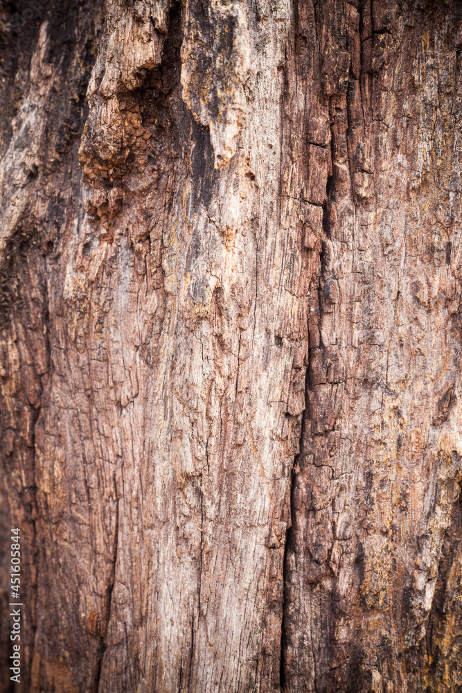 Cracked very old wood closeup textured background. Cracked very old wood closeup textured background.
