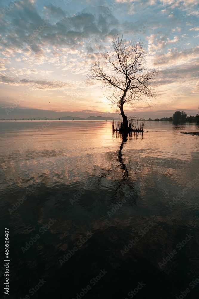 A dead tree on the beach at sunrise time.