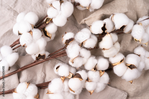 Beautiful white flowers of cotton plant on rough textural linen cloth. Spa setting.