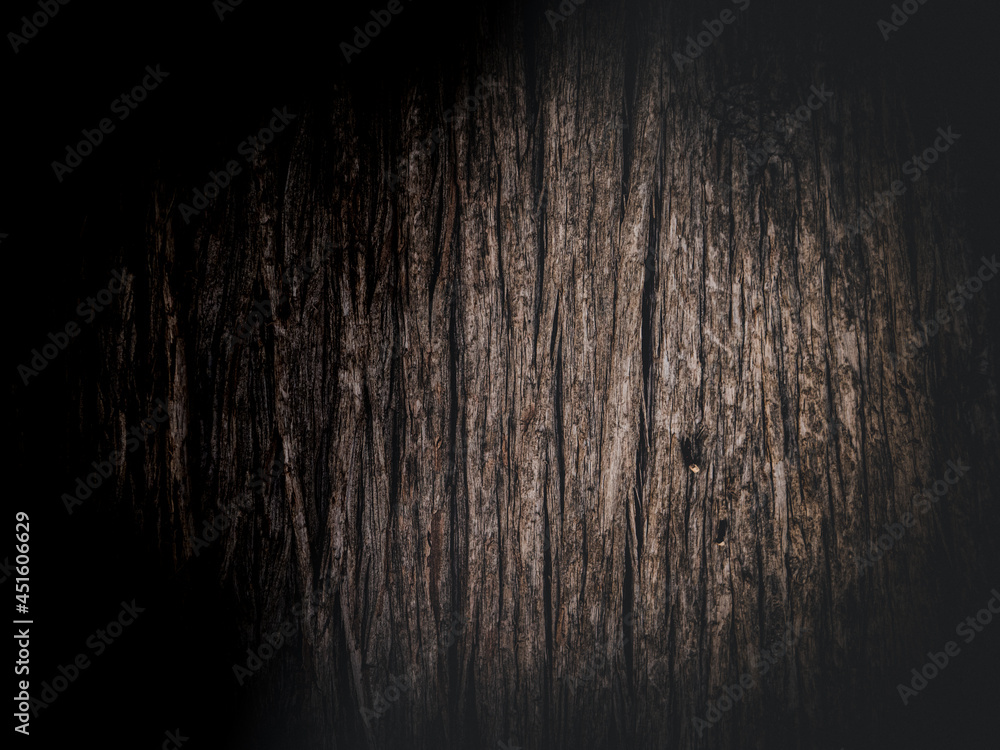 Fototapeta premium Closeup of pine bark