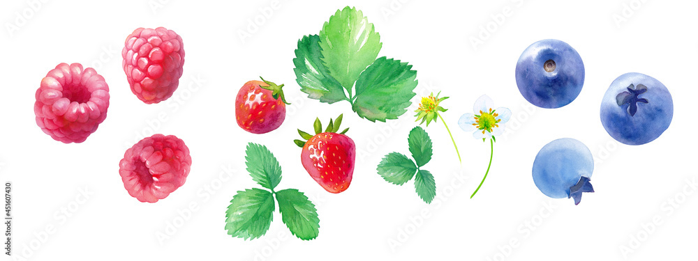 3種のベリーの水彩イラスト ラズベリー ストロベリー ブルーベリー Stock Illustration Adobe Stock