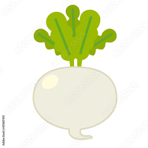野菜/カブ