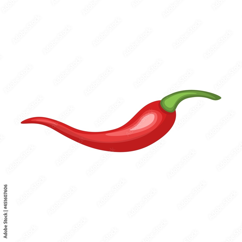 Red hot chili pepper pod image vector illustration. Design for grocery, culinary products, seasoning and spice package, recipe web site decoration, cooking book Red hot chili pepper pod image vector illustration. Design for grocery, culinary products, seasoning and spice package, recipe web site decoration, cooking book