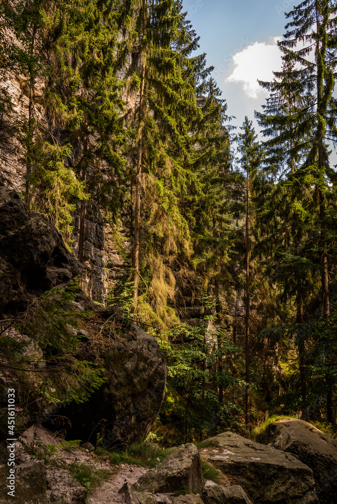 Wald Natur Wandern Felsen Wild Idyllisch 