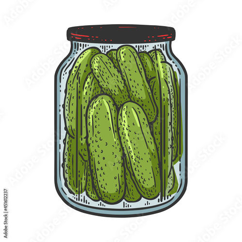 pickled cucumbers color sketch engraving vector illustration. T-shirt apparel print design. Scratch board imitation. Black and white hand drawn image.