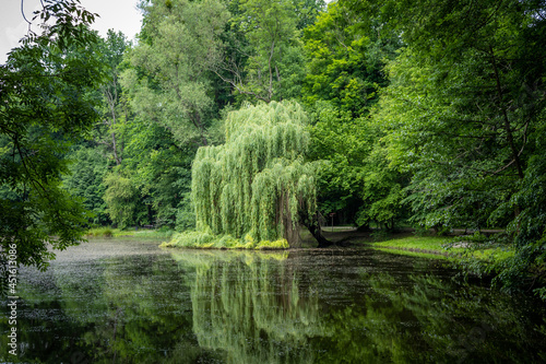 Fotografie A romantic pond in the park, Pawlowice, Poland
