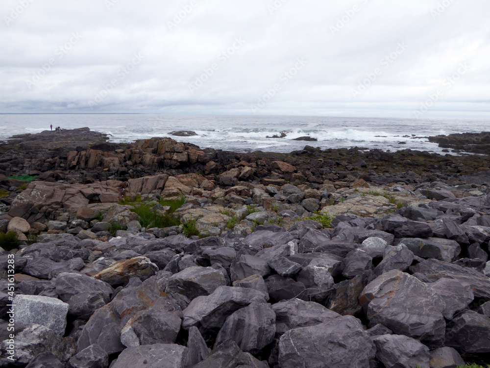 Coast with rocks, plants, trees and waves of Atlantic Ocean. Shore on a cloudy day
