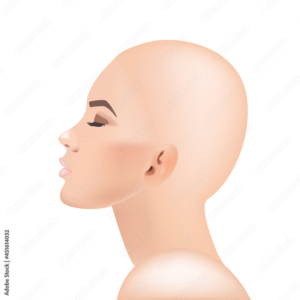 The head of a woman. Side view realistic vector The head of a woman. Side view realistic vector