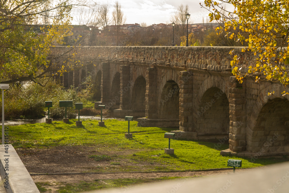 Puente sobre el Río Tormes en la ciudad de Salamanca, comunidad autonoma de Castilla Leon, pais de España o Spain