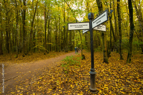 Street Pillar With Navigation Signs With Texts In Autumn Park. photo