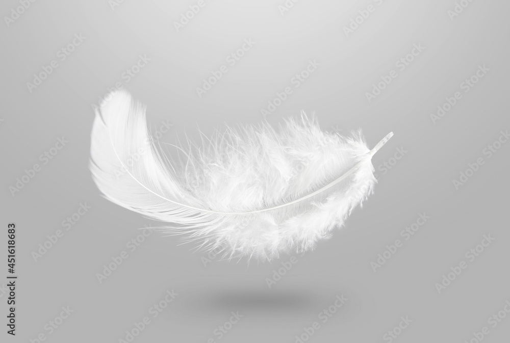 Down Feathers. Soft White Fluffly Feather Falling in The Air. Swan Feather on Gray Background.	