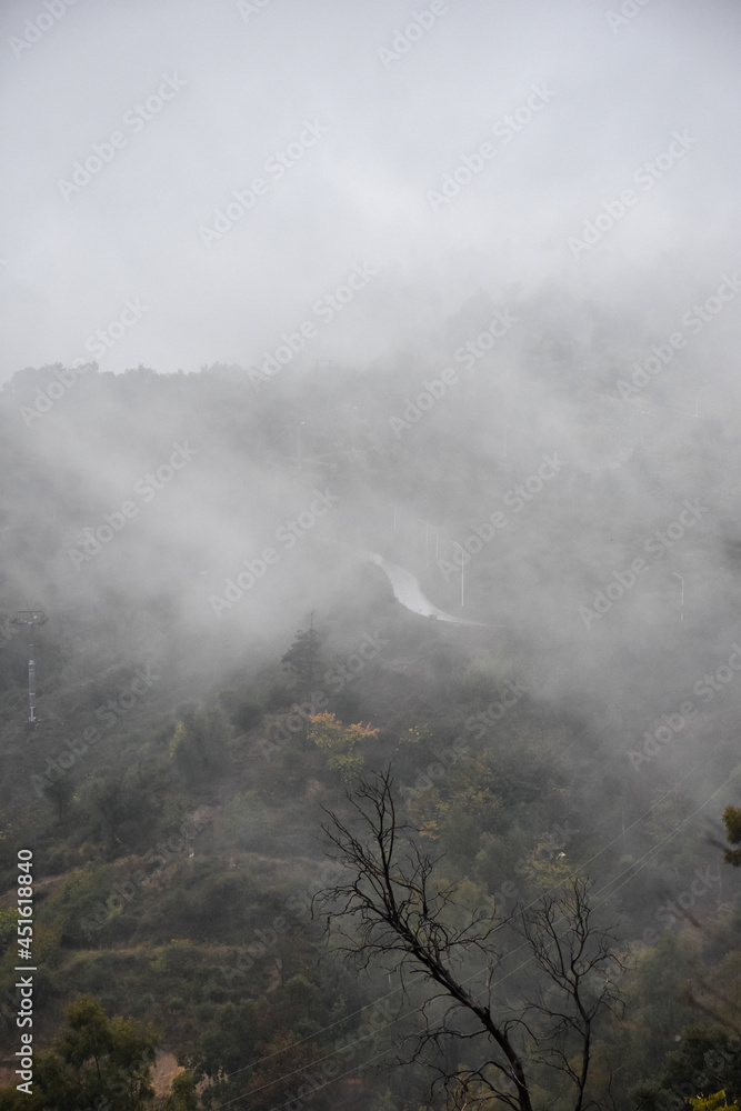 Top view of foggy forest in Chrea National Park, Blida, Algeria. Top view of foggy forest in Chrea National Park, Blida, Algeria.
