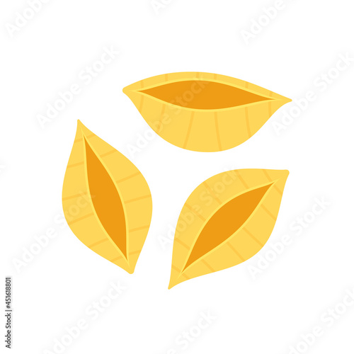 Conchiglie cartoon vector. Conchiglie on white background.
