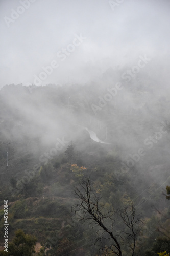 Top view of foggy forest in Chrea National Park, Blida, Algeria.