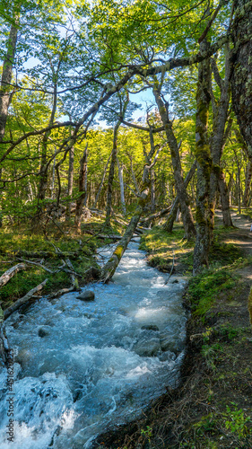 Beautiful trail in el chalten, santa cruz, Argentina. the sun rises behind the trees.
