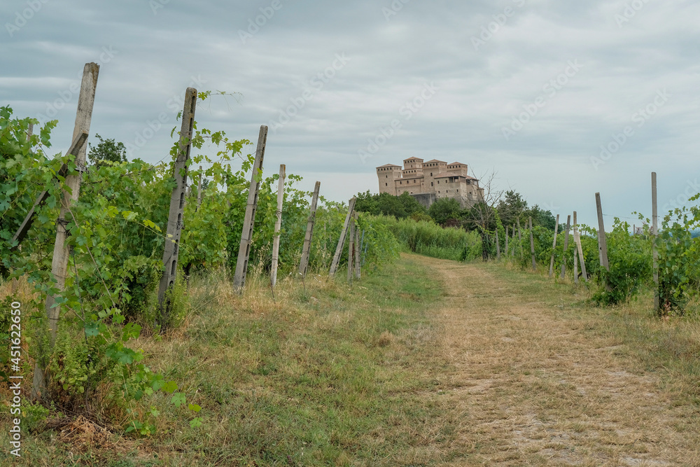 Fototapeta premium Castle Torrecchiara in Langhirano, Italy across vineyards. Rows of vineyards in region country. Winery, mine making industry