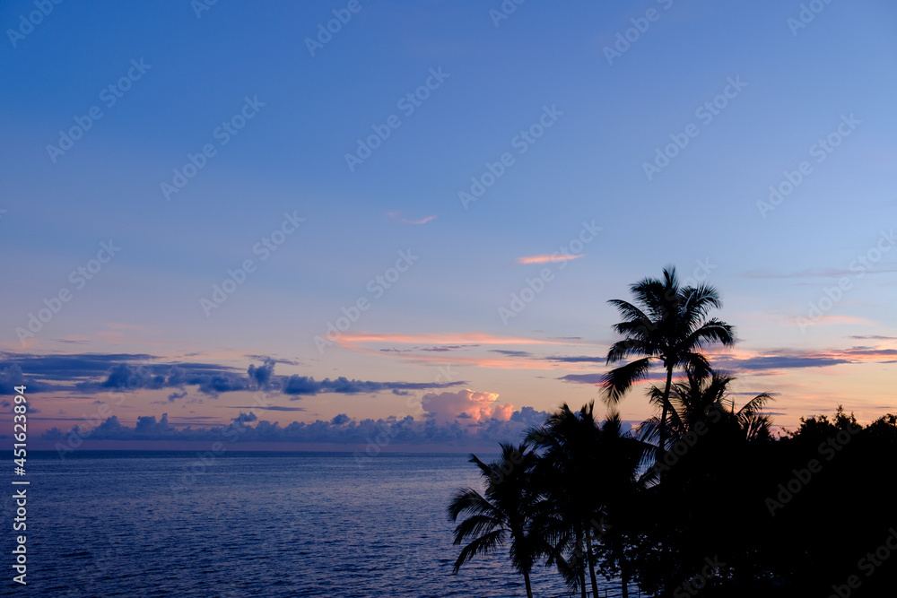 Obraz premium A picture perfect Florida Keys Sunrise with silhouetted palm trees from the top of the old seven mile bridge
