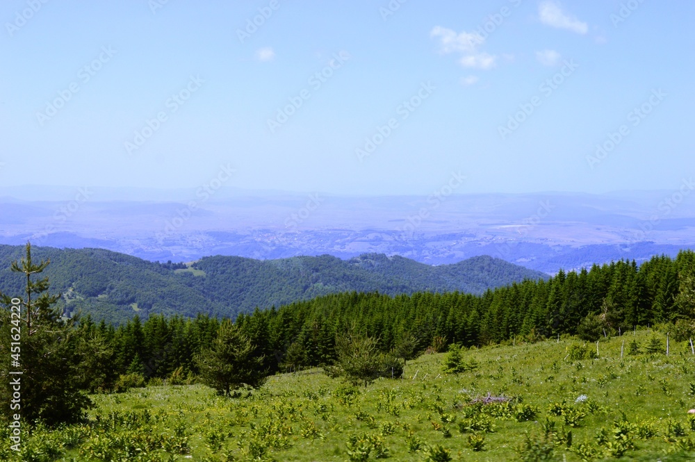 Fototapeta premium green mountain landscape in summer