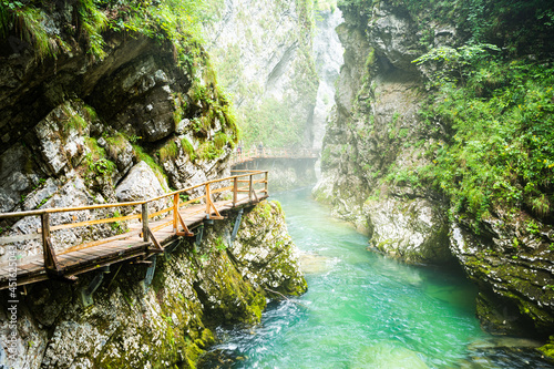 Fototapeta Naklejka Na Ścianę i Meble -  Hiking trail along the clear river through the Vintgar Gorge in Slovenia