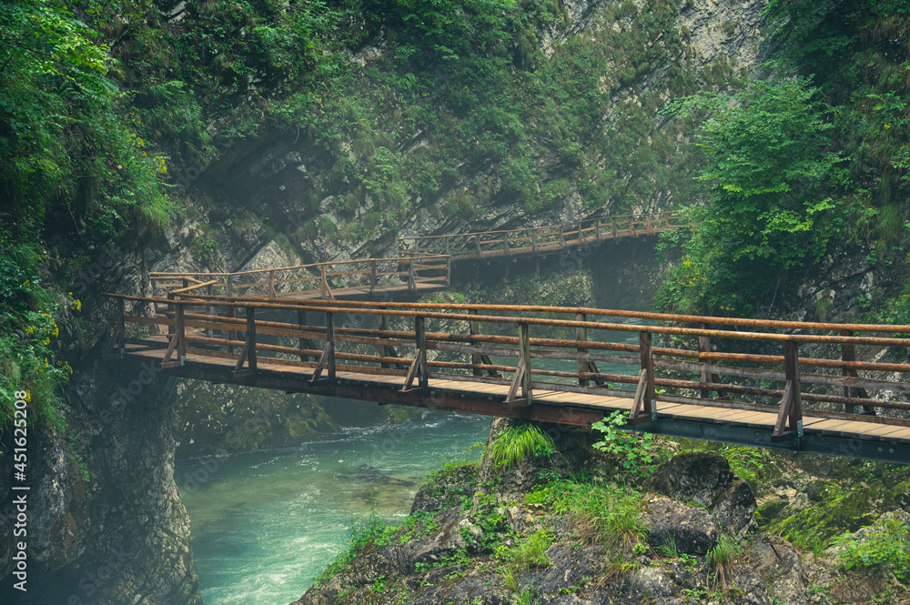 Hiking trail along the clear river through the Vintgar Gorge in Slovenia Hiking trail along the clear river through the Vintgar Gorge in Slovenia