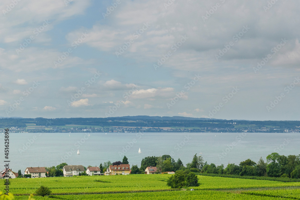 Obraz premium Vineyard with clouds, beautiful village and lake in the background
