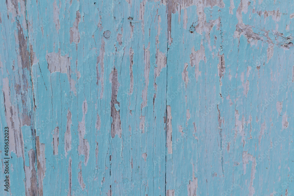 textured old wooden background with remnants of blue paint and scratches. pine plank barn wall for design and lettering. Copy space