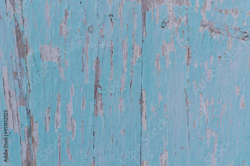 textured old wooden background with remnants of blue paint and scratches. pine plank barn wall for design and lettering. Copy space
