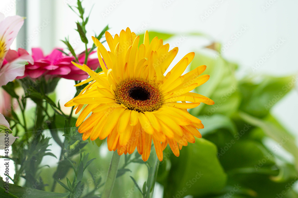 Festive bouquet on March 8th. International Women's Day. Mom's holiday Festive bouquet on March 8th. International Women's Day. Mom's holiday