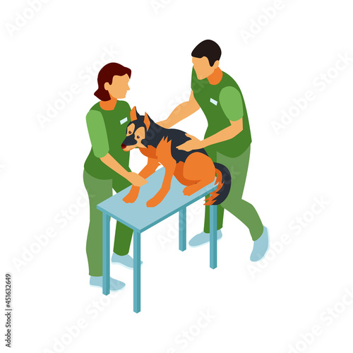 Vets Examining Dog Composition