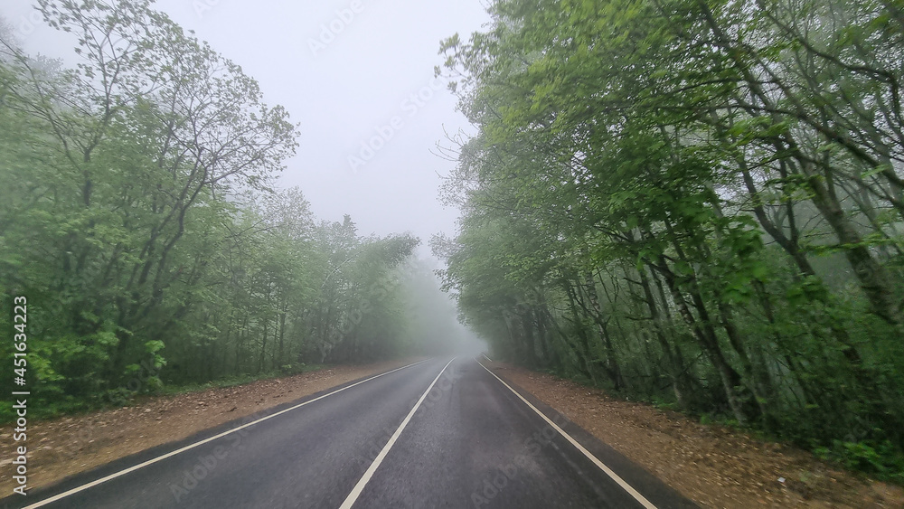 through the windshield of the car road in the fog. 