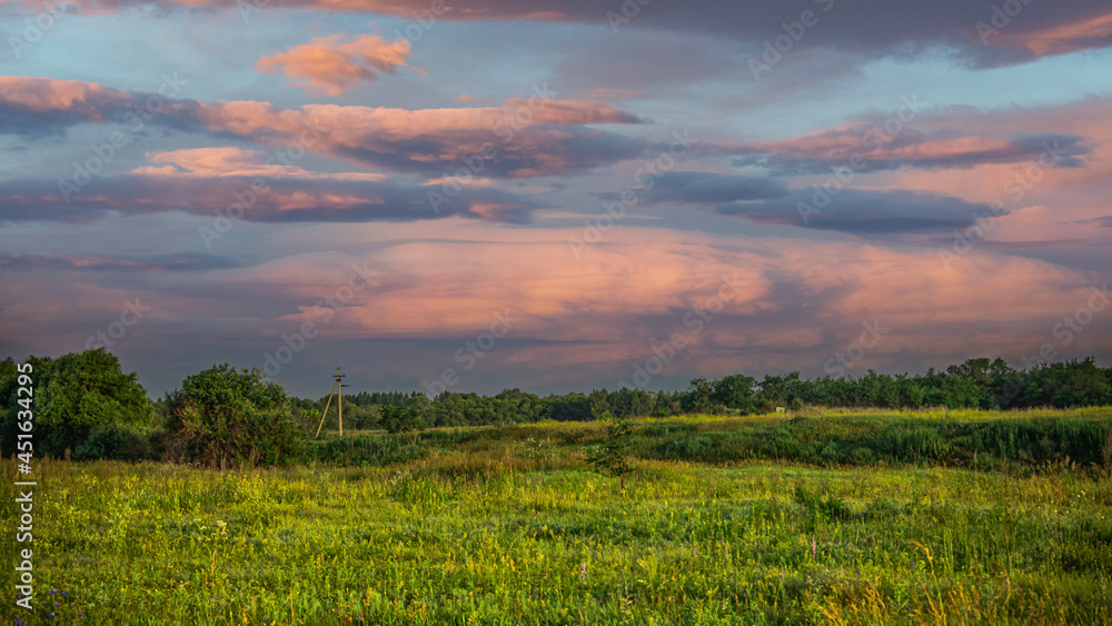 wildlife landscape in the russian federation wildlife landscape in the russian federation