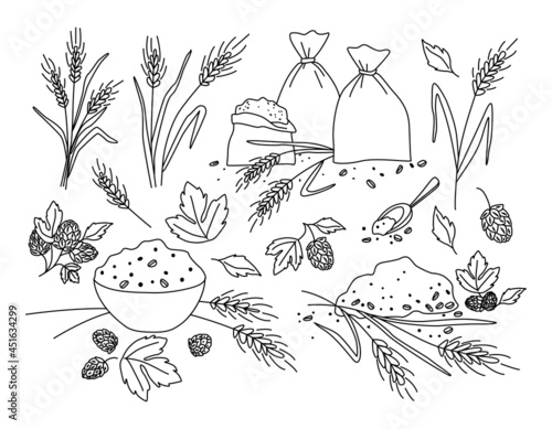 Set. Wheat or rye bags, barley hop cones. Flour. Vector illustration for brewing, agriculture, logo, print, poster. Doodle style by outline