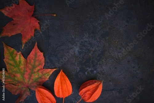 Black background with autumn red orange leaves. Coloured tree autumn leaves on dark textured background. Colorful seasonal texture with fall mood. 
