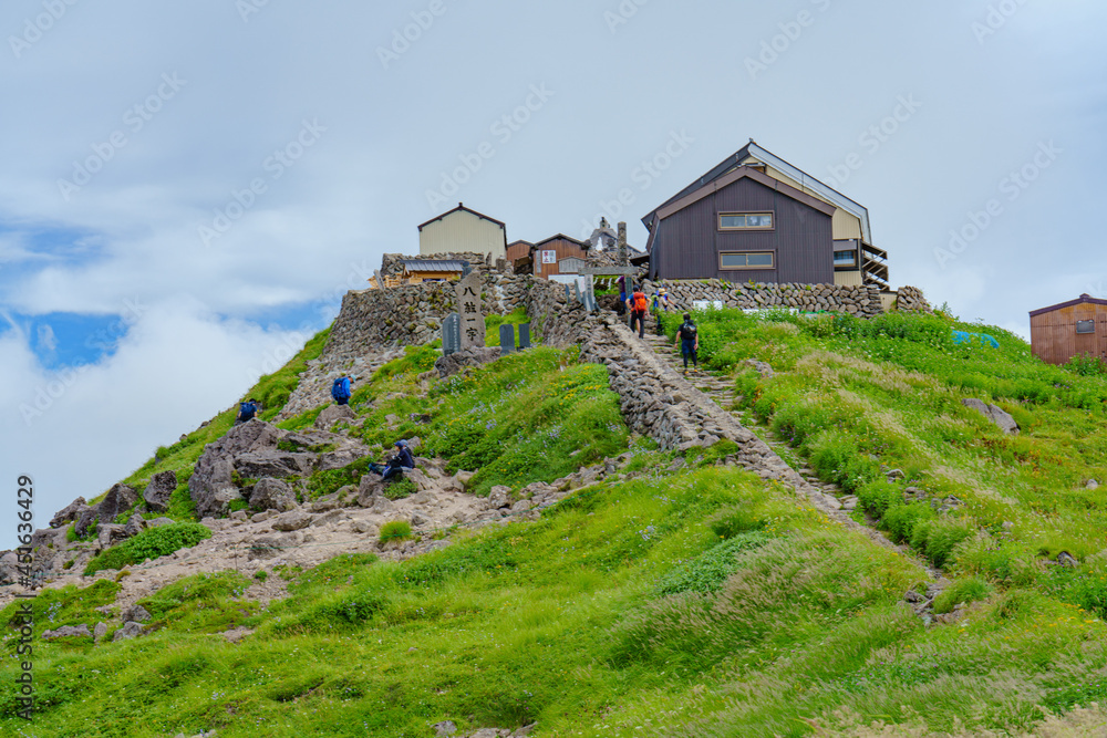Fototapeta premium 月山神社 8月
