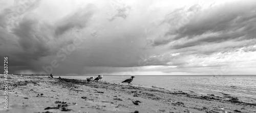 Beach lifestyle in the evening