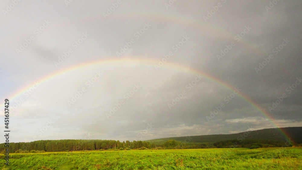 Fototapeta premium The rainbow over the pine forest is the real beauty of Siberia. Light rain and a breeze perfectly complement this picture